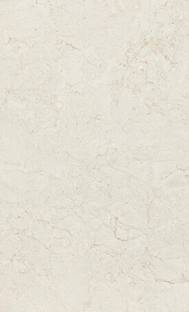 Fossillia stone surface